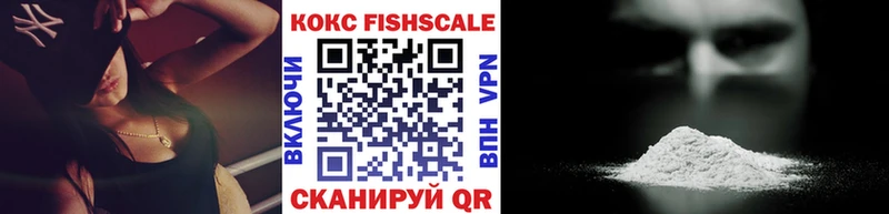 Купить  Талица  КОКАИН FishScale 