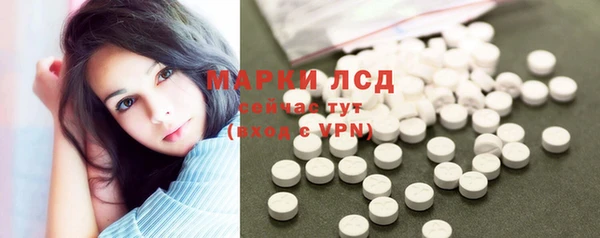 spice Богданович