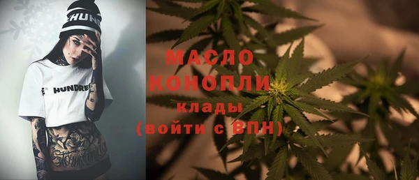 spice Богданович