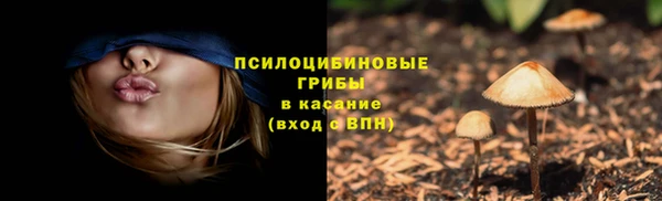 spice Богданович