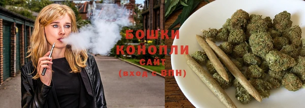 spice Богданович