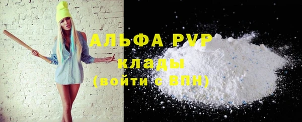 ECSTASY Богородицк