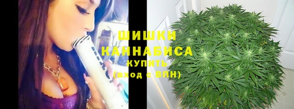 соль ск Бородино